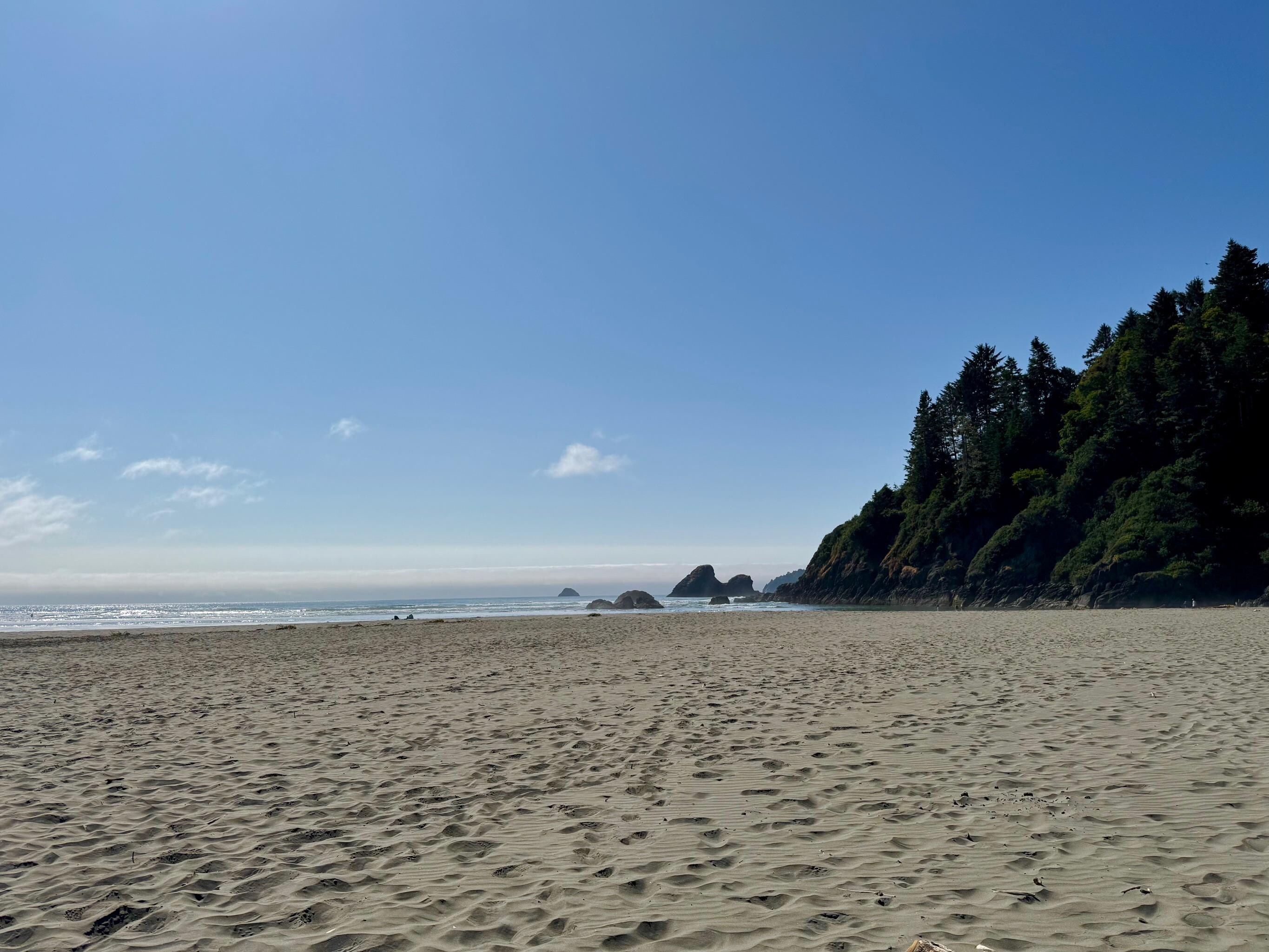 Nearby Moonstone Beach