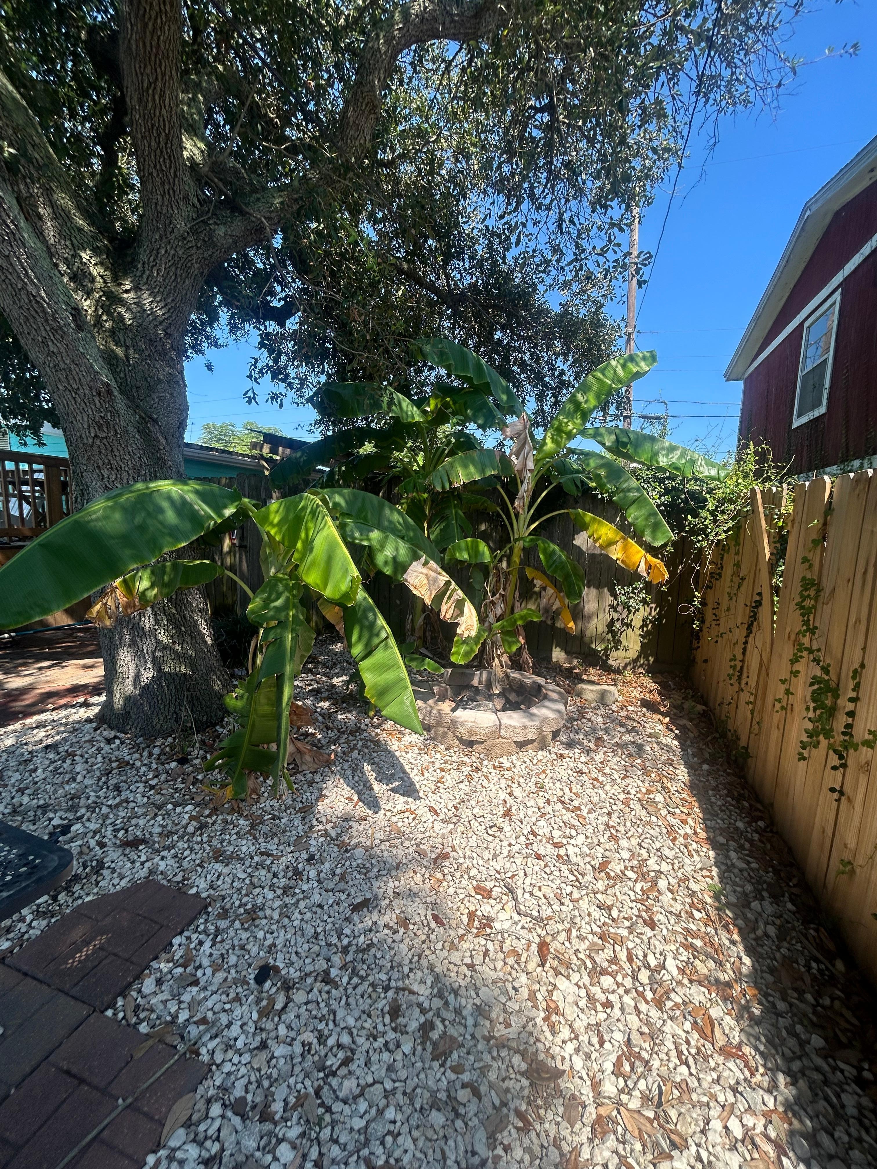 Foret area abandoned 