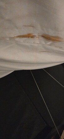 Filthy mattress cover