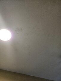 Mode on ceiling