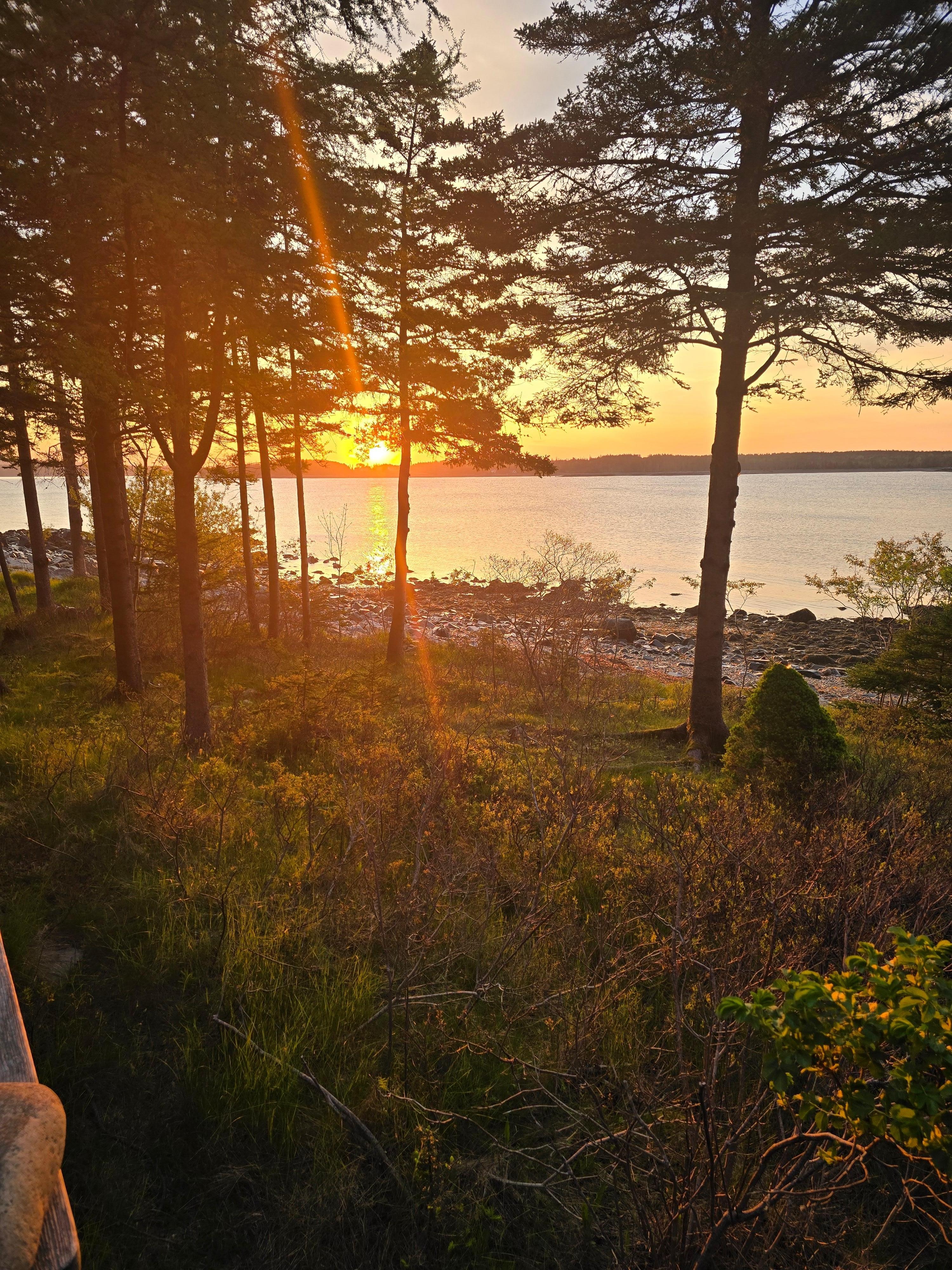 Sunrise off the deck