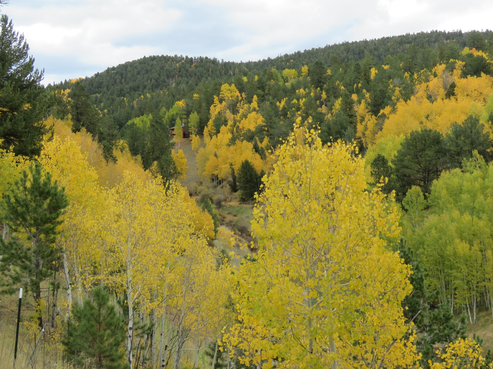 More Aspen