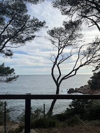 Les sentinelles du littoral