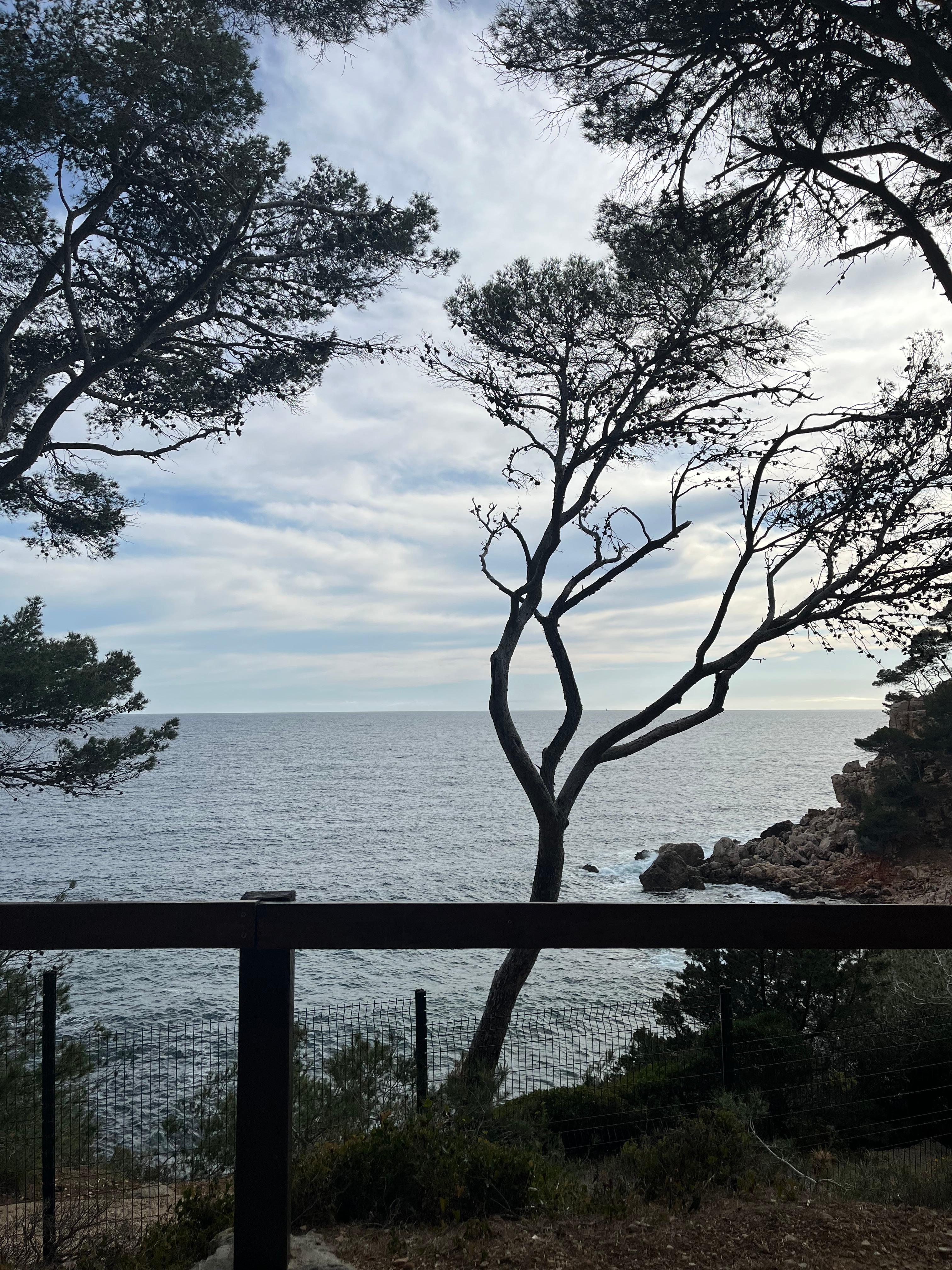 Les sentinelles du littoral 