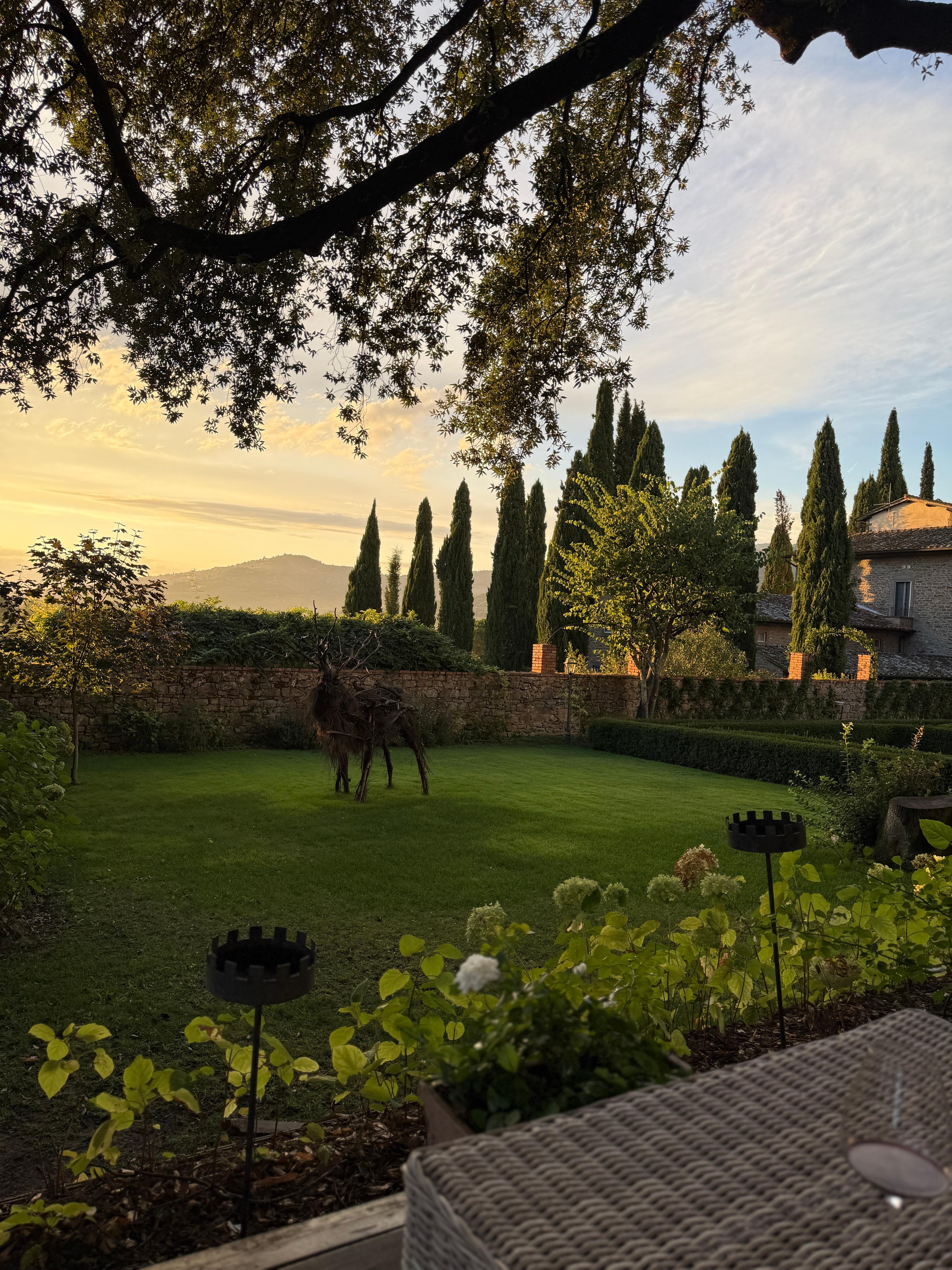 the view at sunset with a glass of wine