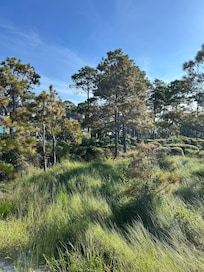 Path to the house.