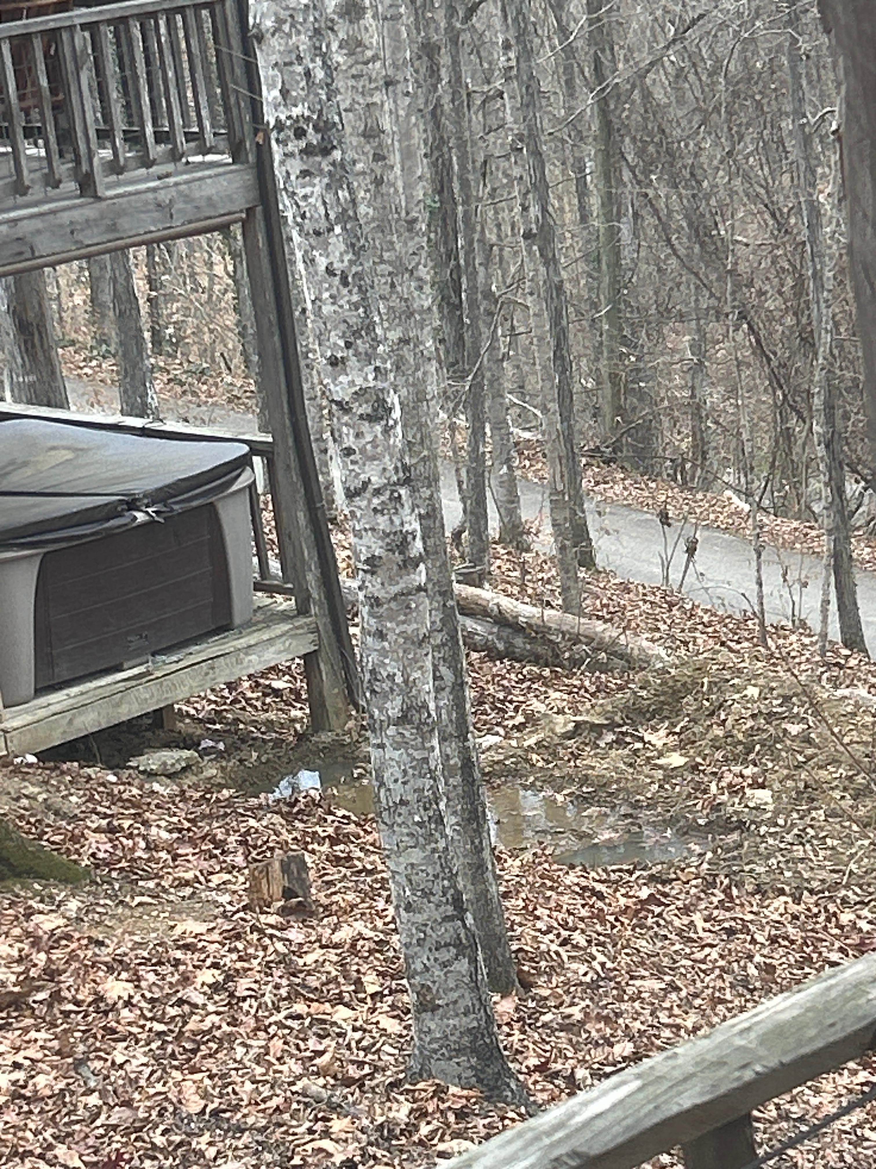 Septic area backing up in yard