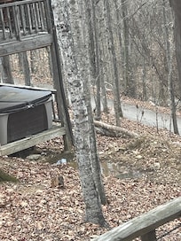 Septic area backing up in yard