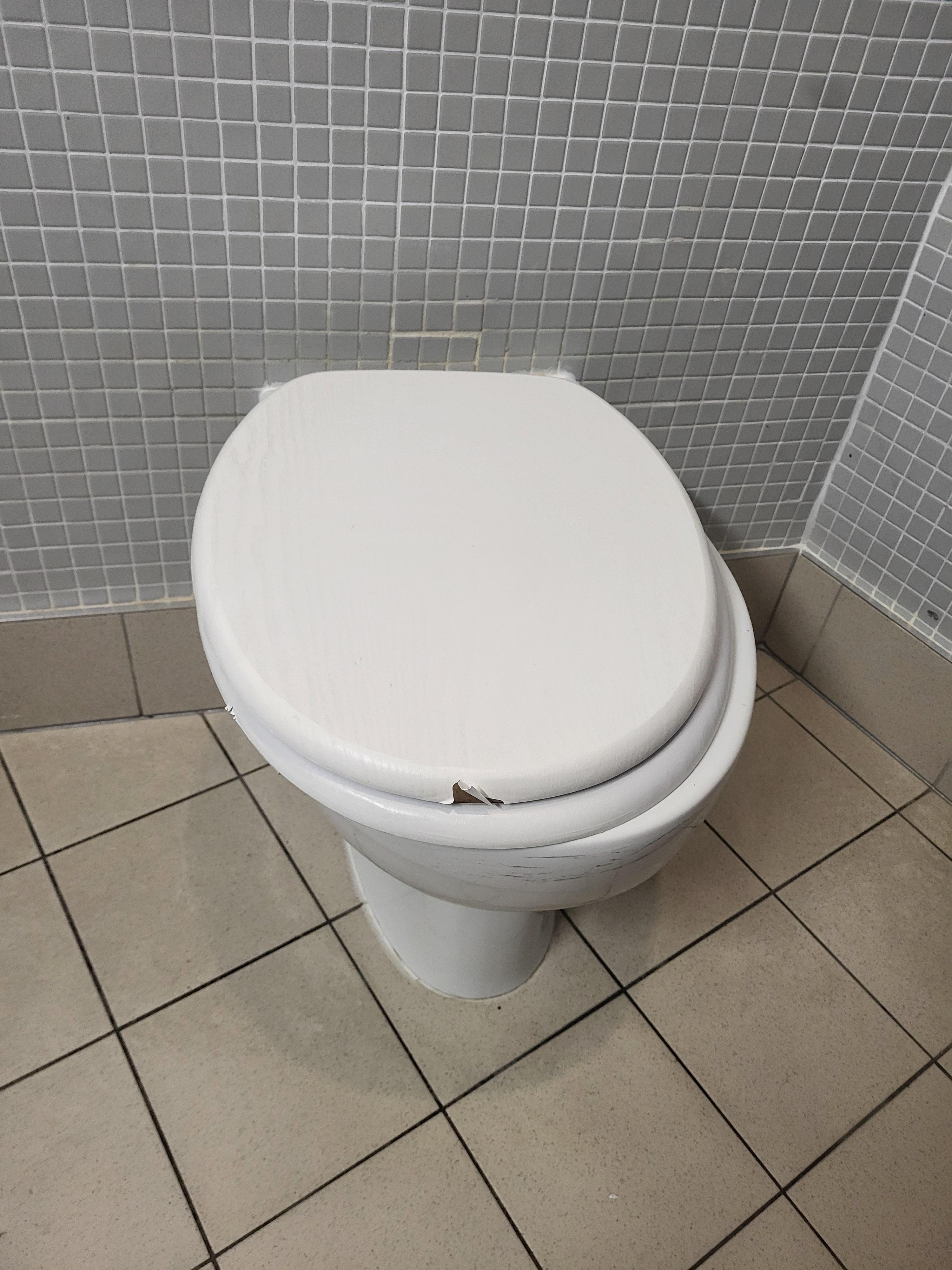 Broken toilet seat