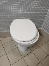 Broken toilet seat