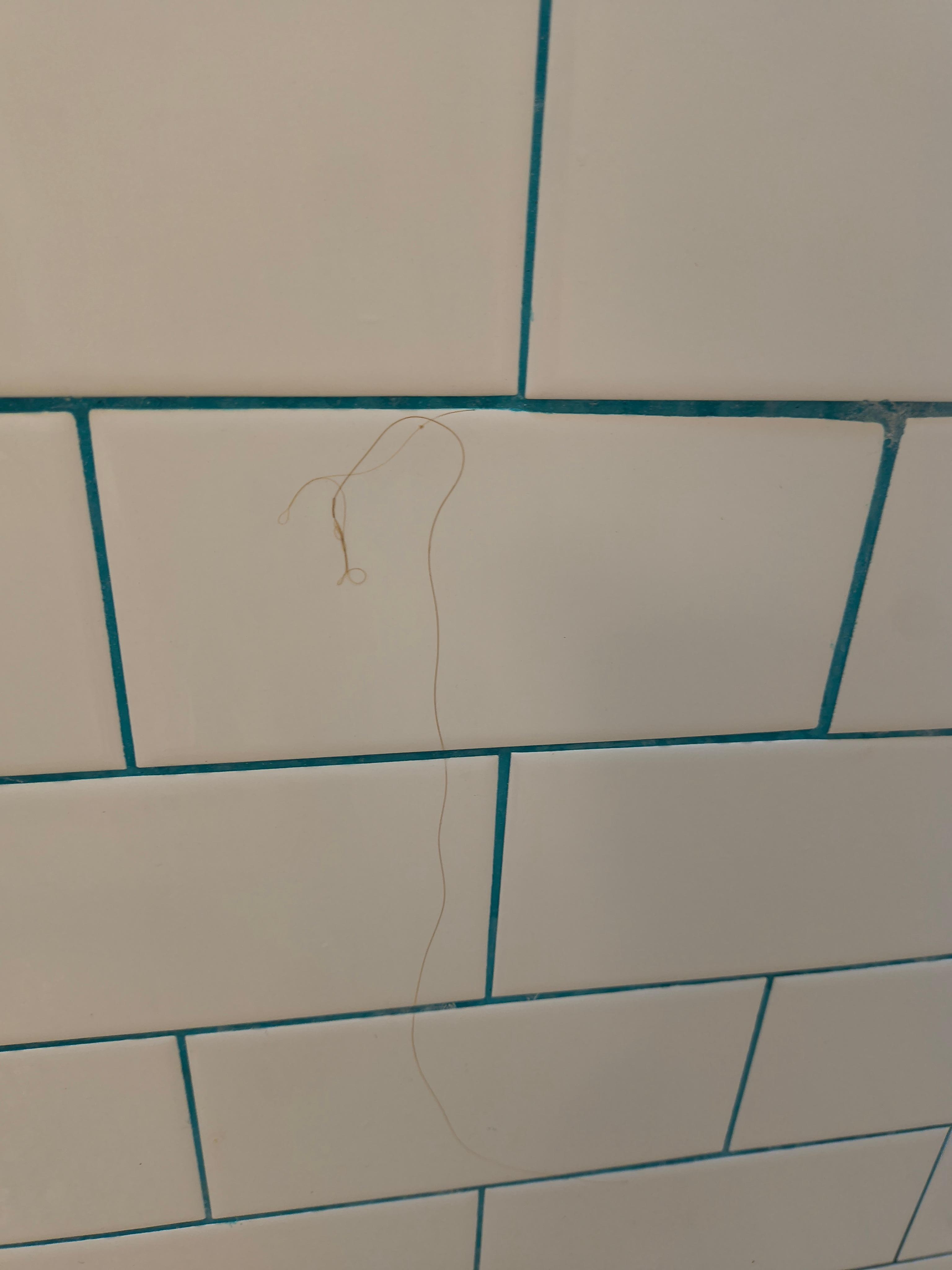 Hair. Yuck!!!