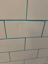 Hair. Yuck!!!