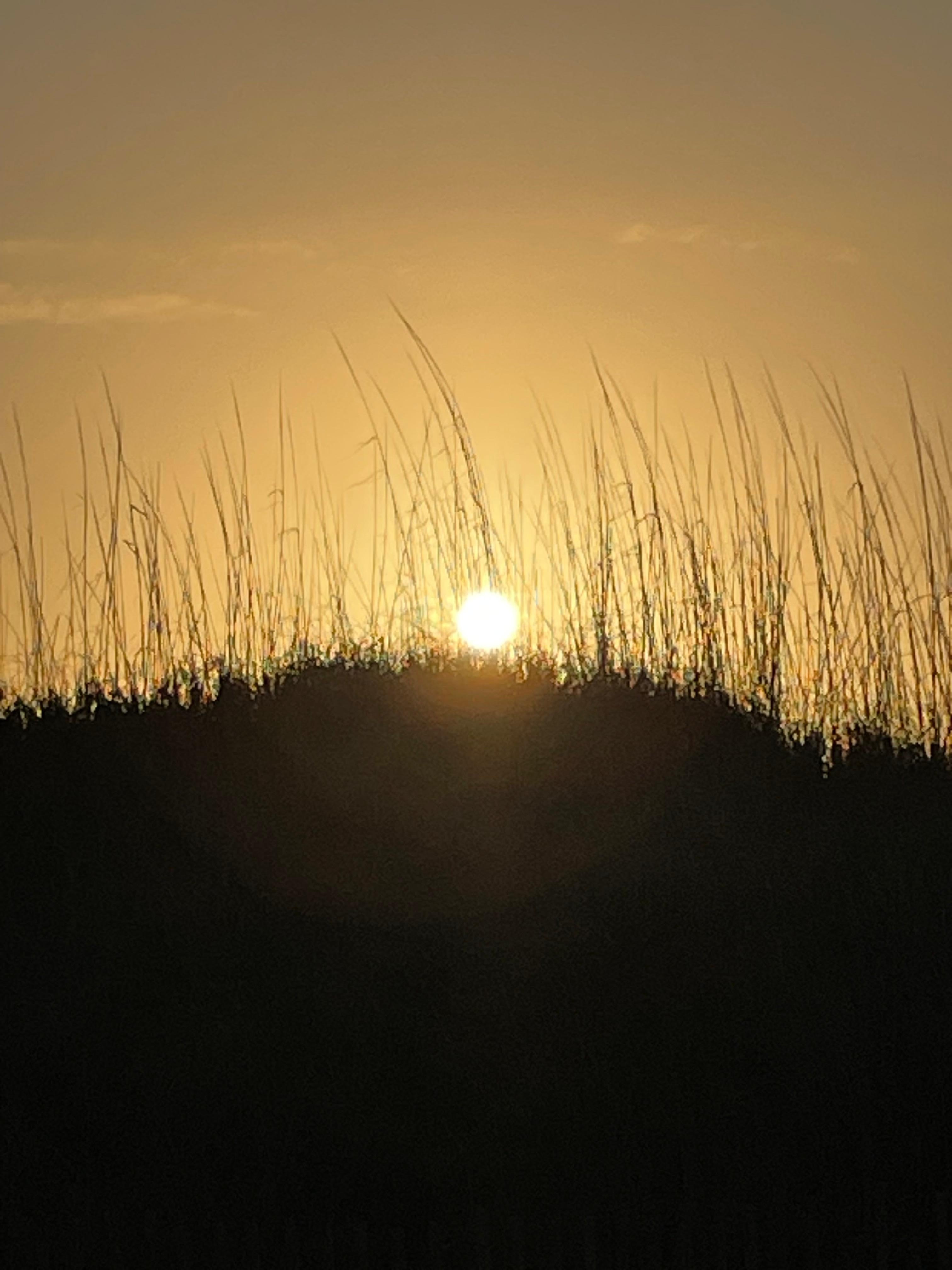 Easter morning sunrise