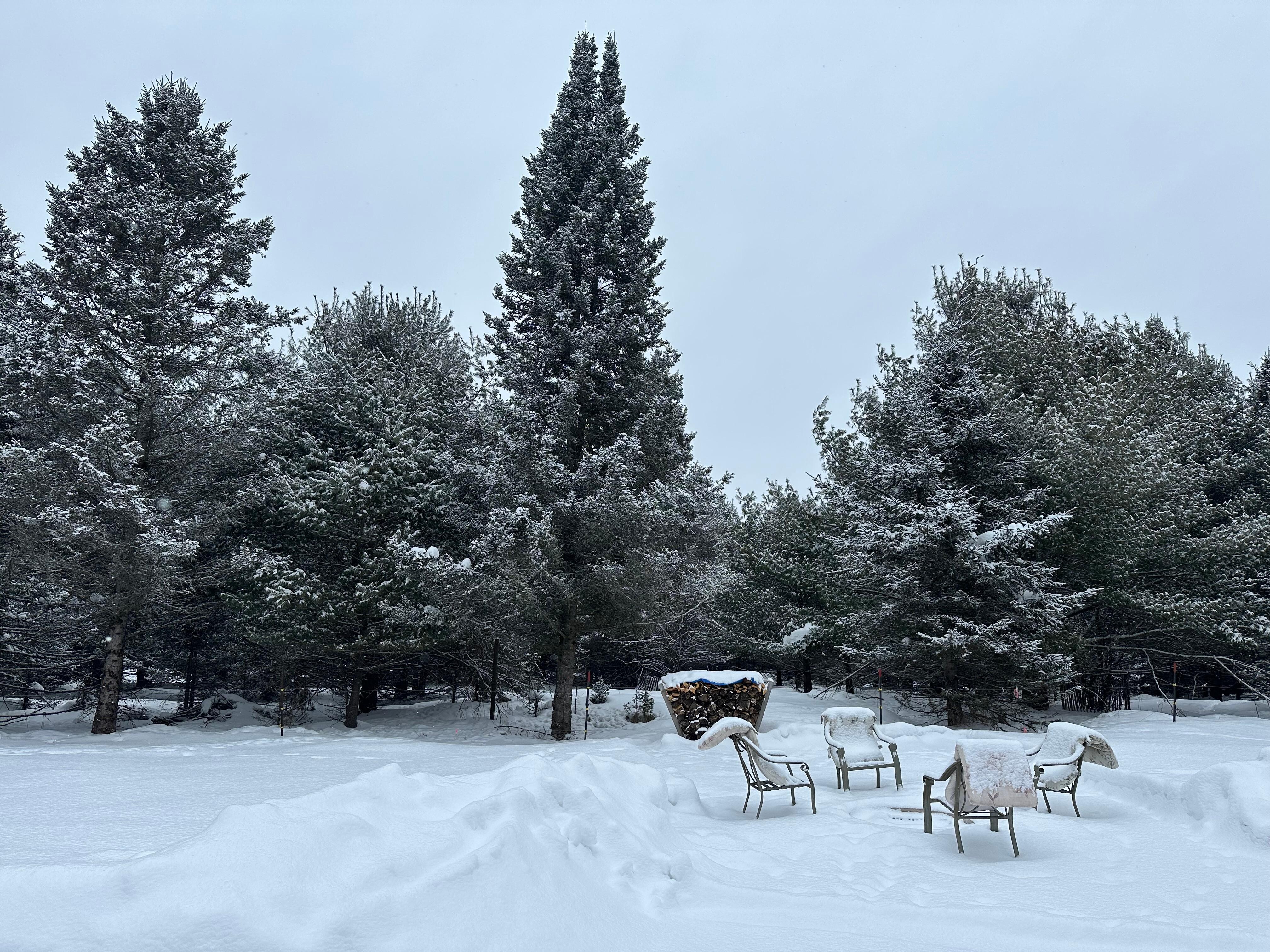 The fire pit was ready for us but we just didn't have the time.