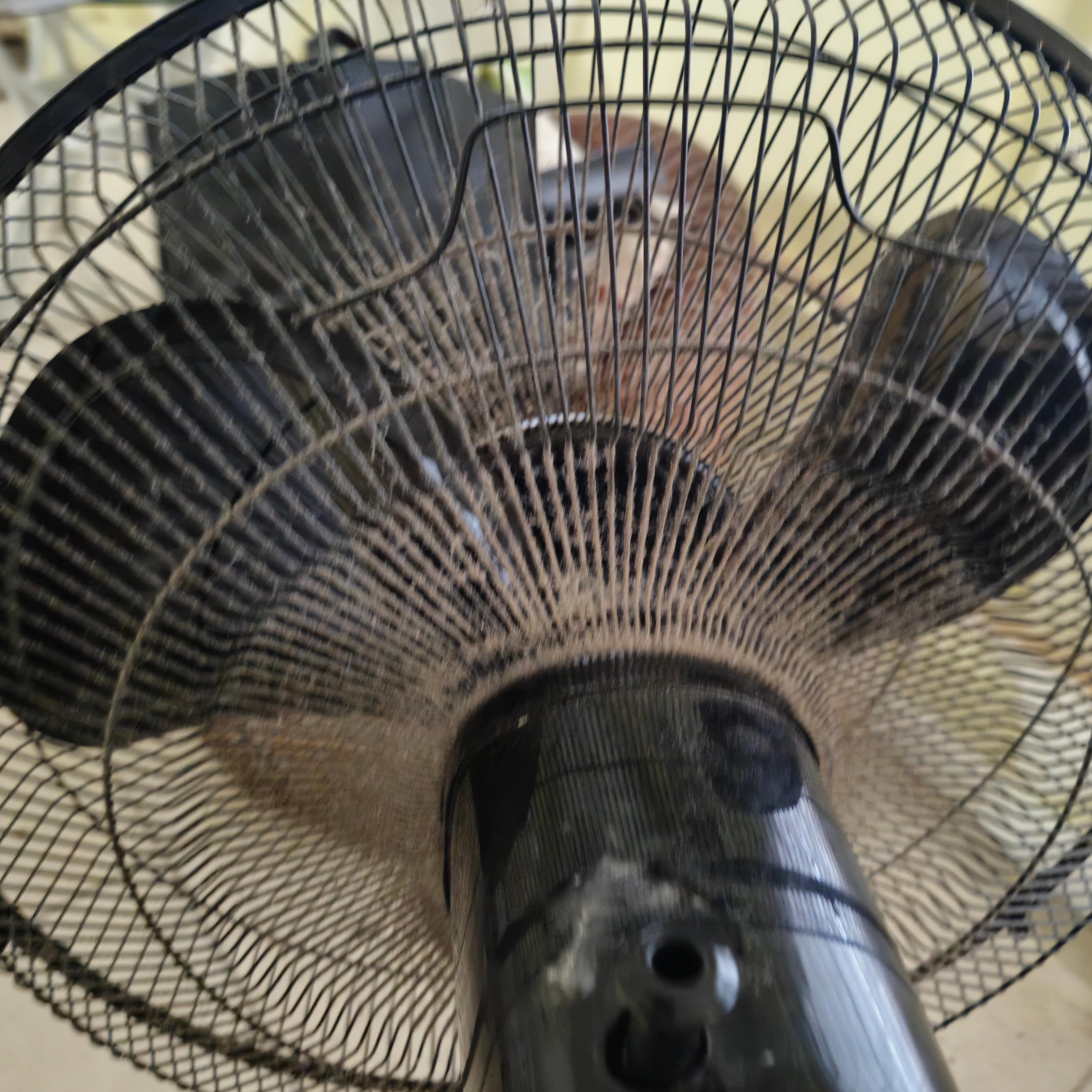 Clumps of dust on floor fan.