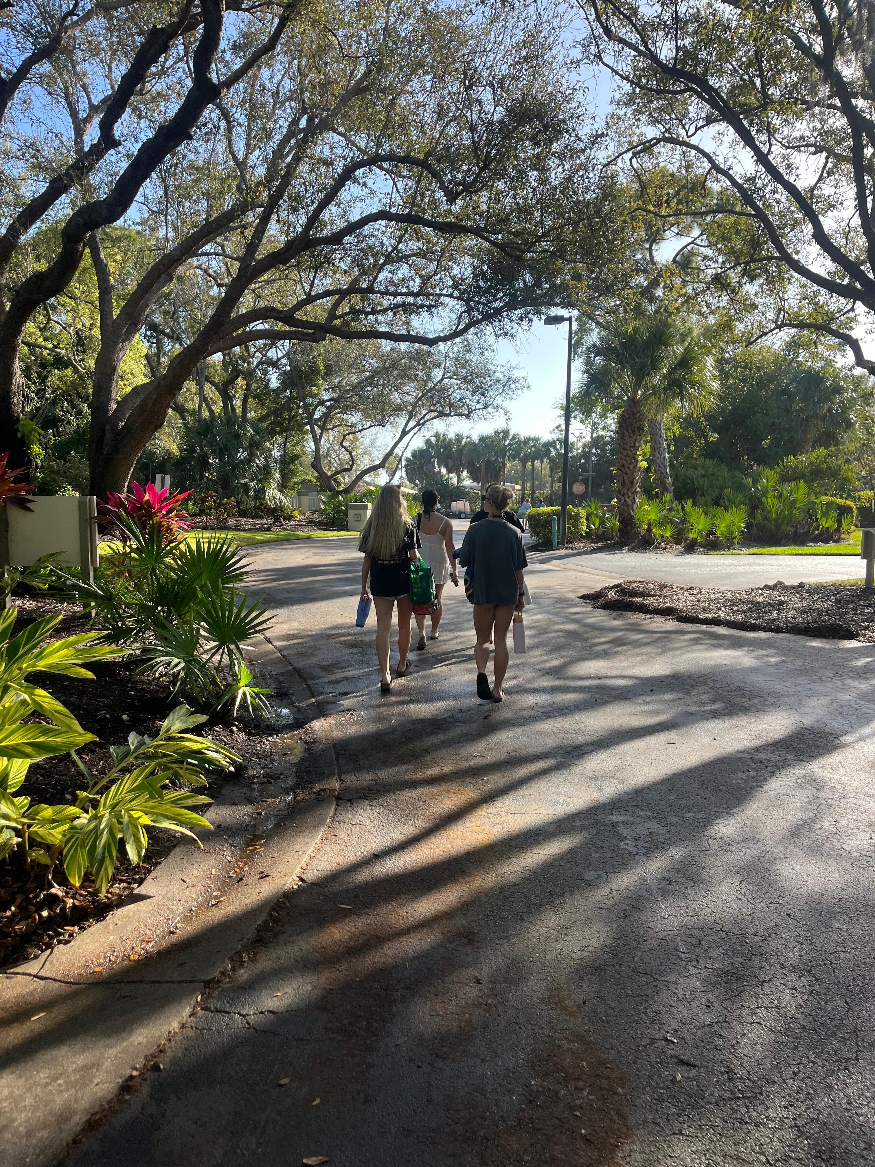 Easy walk to the bus stop and pool! 
