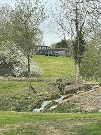 View approaching the pods.