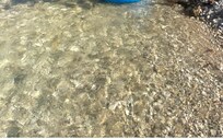 Clear water