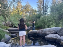 The creek behind the house