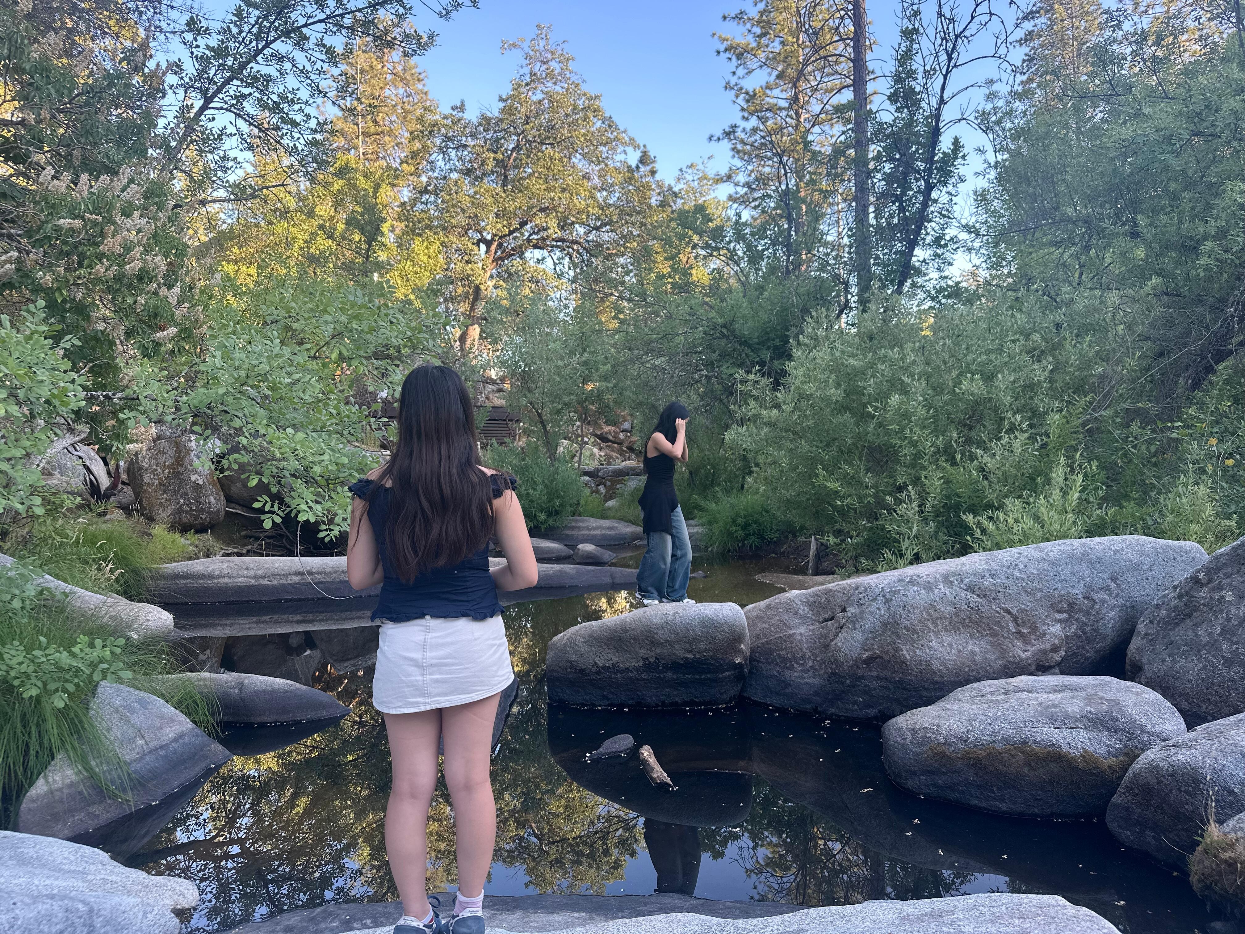 The creek behind the house 