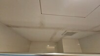 Mold stains on bathroom ceiling.