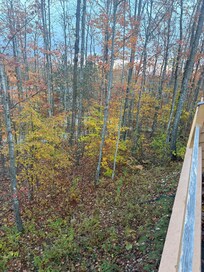 Looking out from one of the balconies