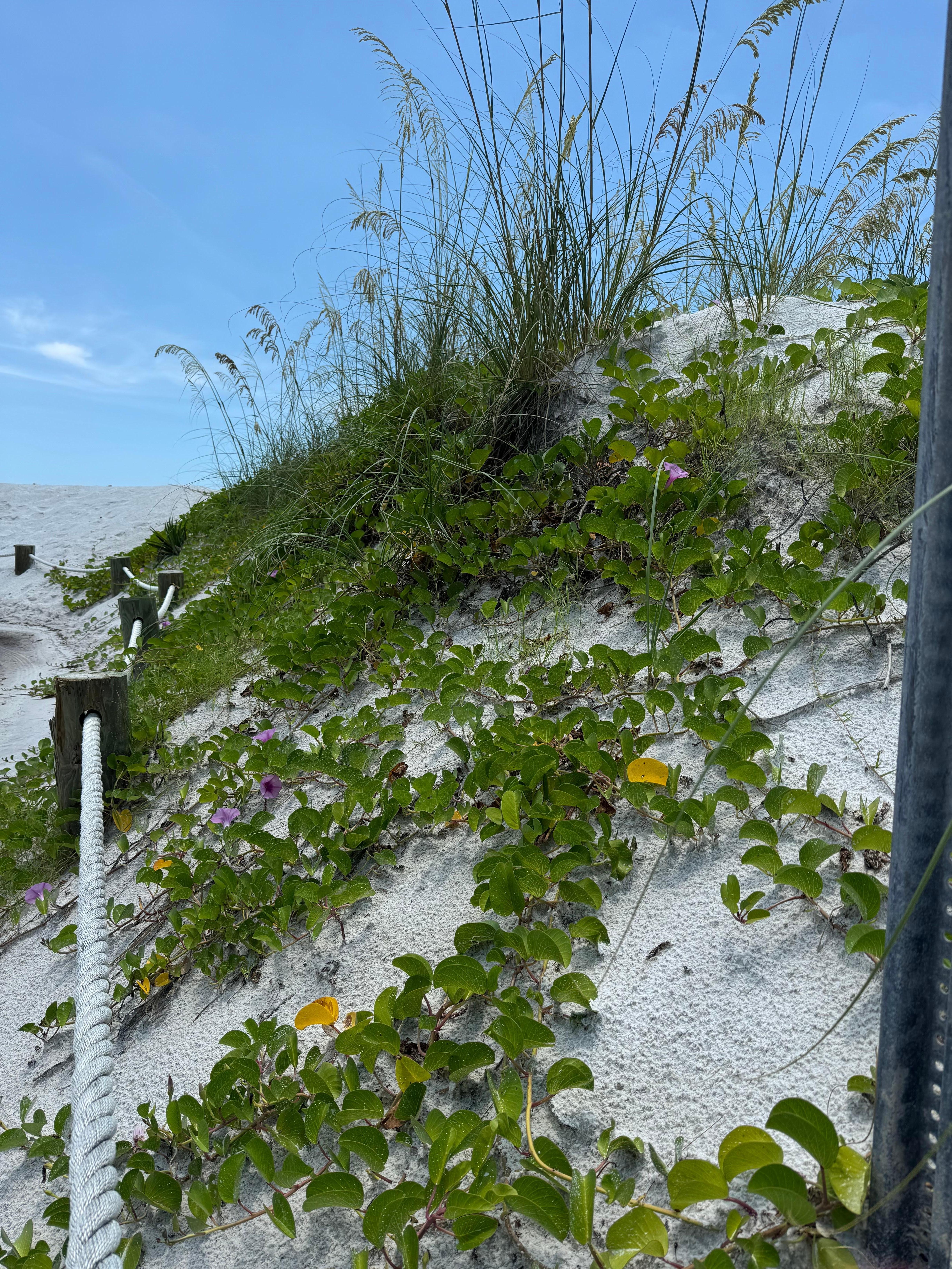 Beaches are just beautiful 