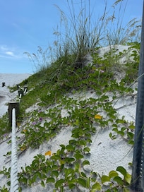 Beaches are just beautiful