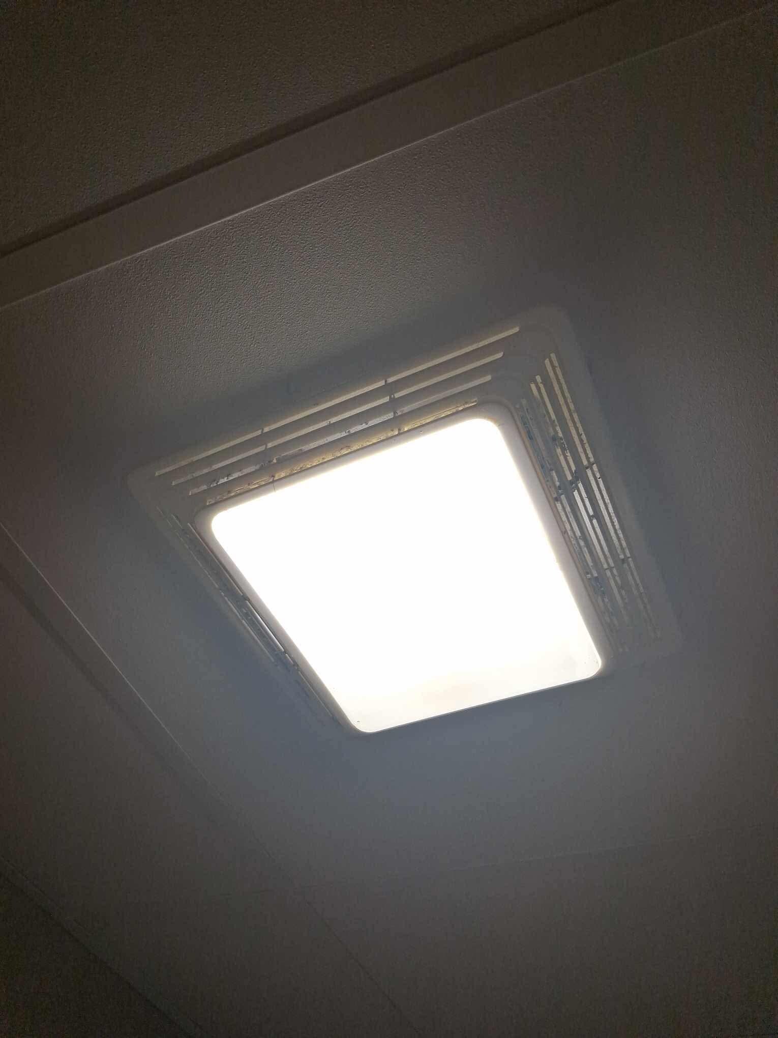 Had mold spots etc