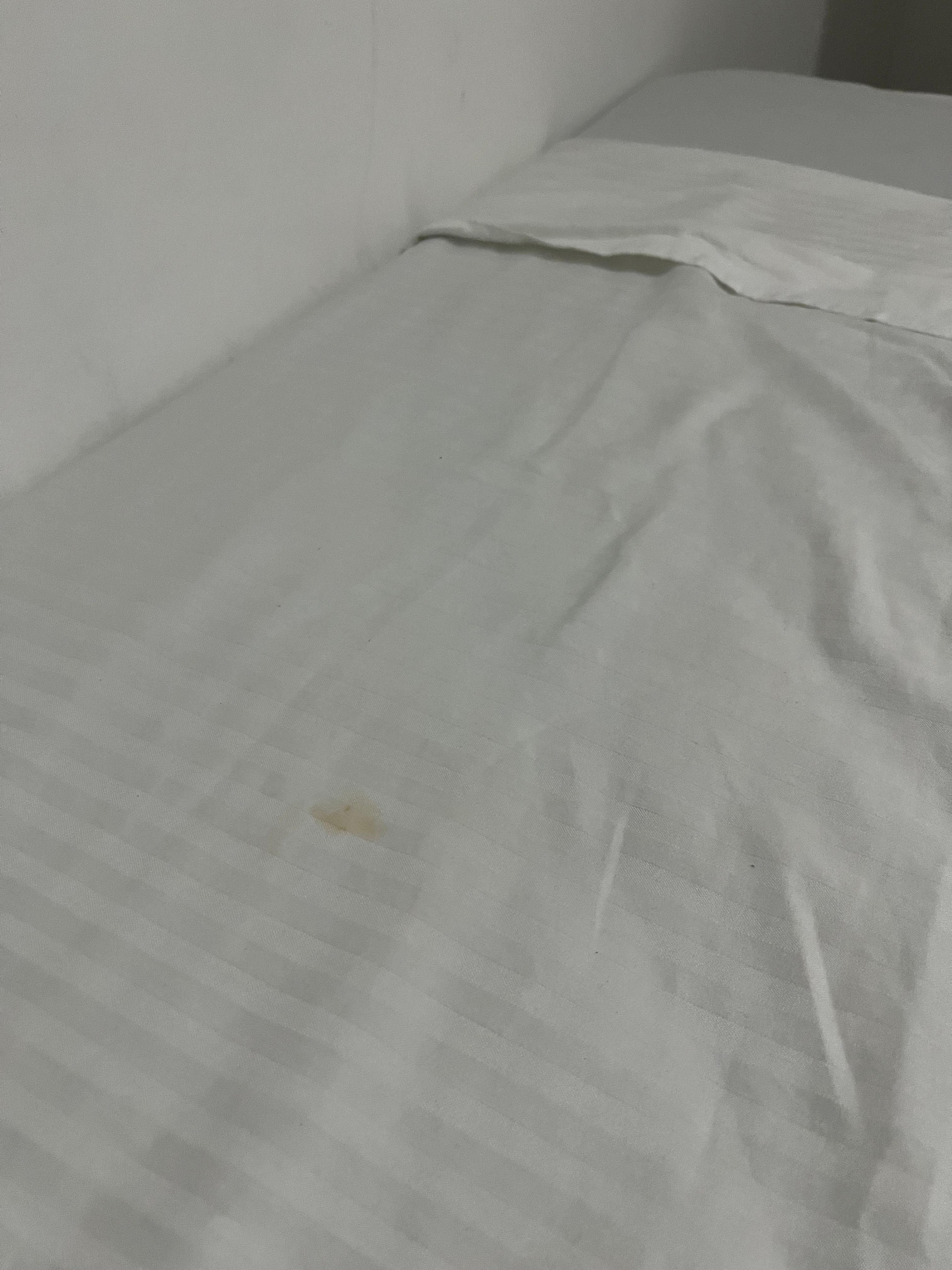 Just one of the dozens of stains on the sheets.