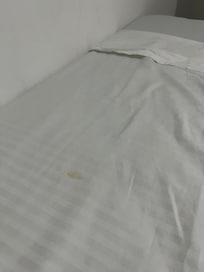 Just one of the dozens of stains on the sheets.