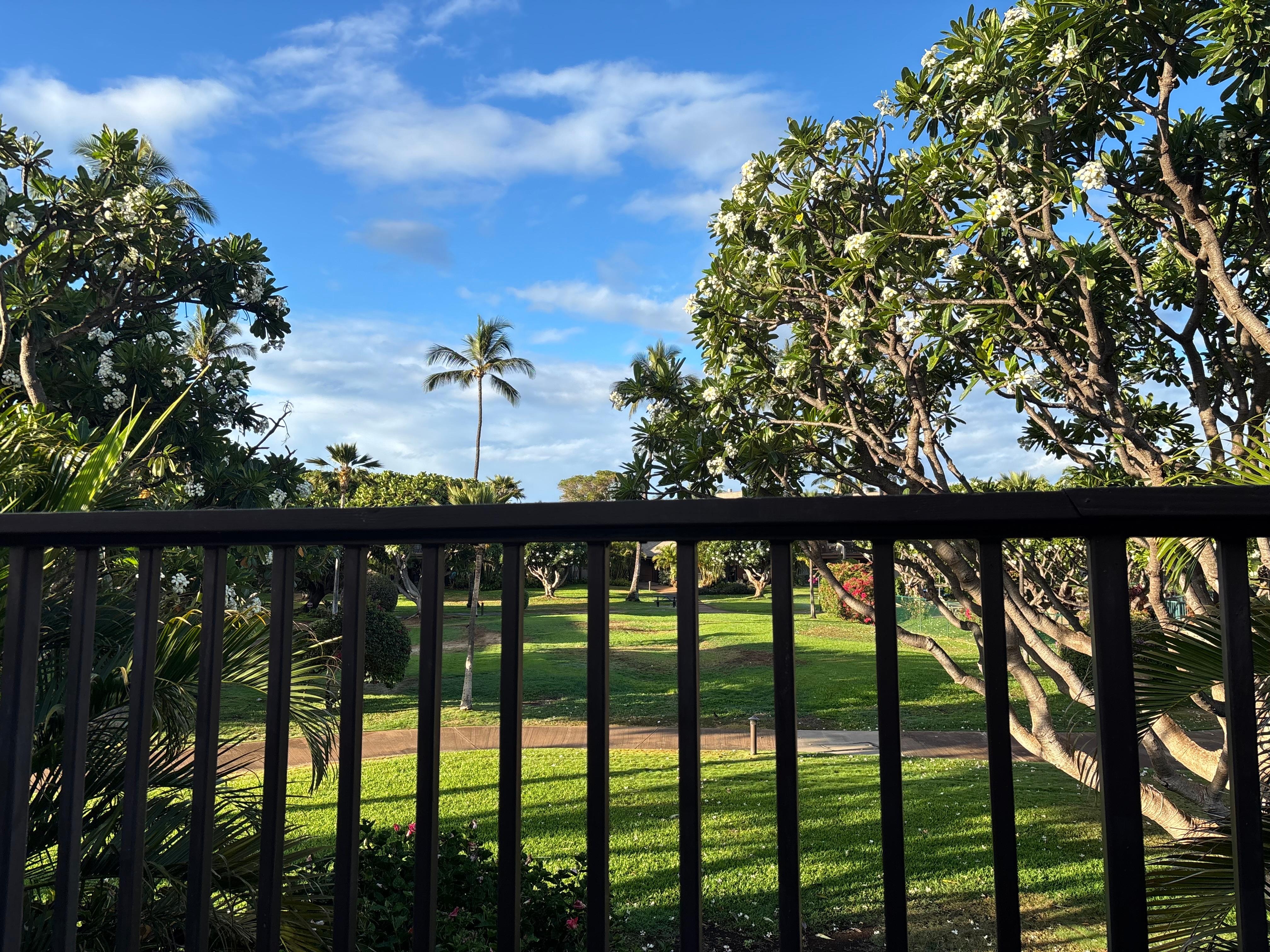 Lovely area to look at off the deck. 