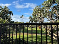 Lovely area to look at off the deck.