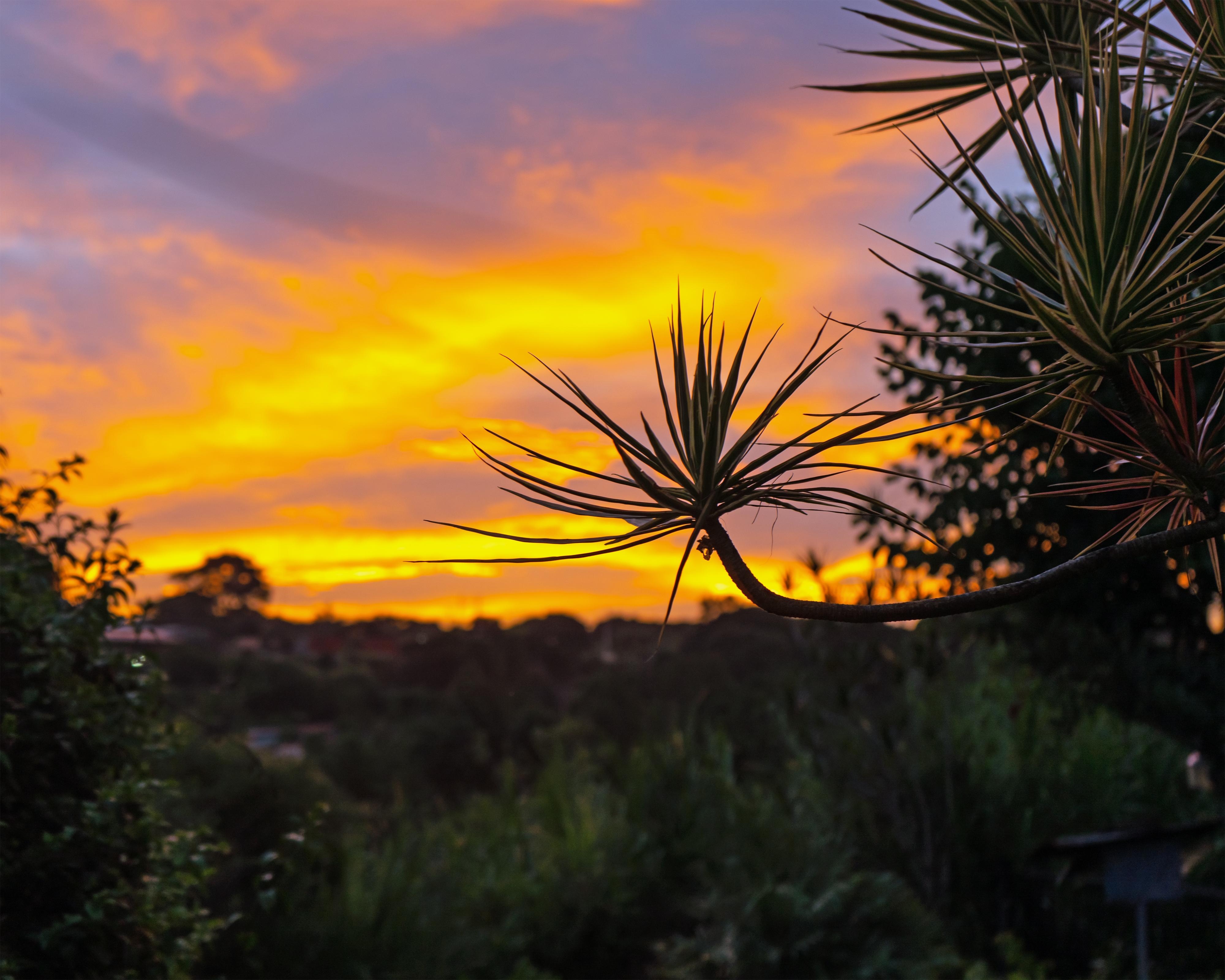 Our first sunset from the rockers on the porch
