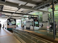 新旧車両の路面電車