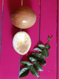 Petits cadeaux du matin