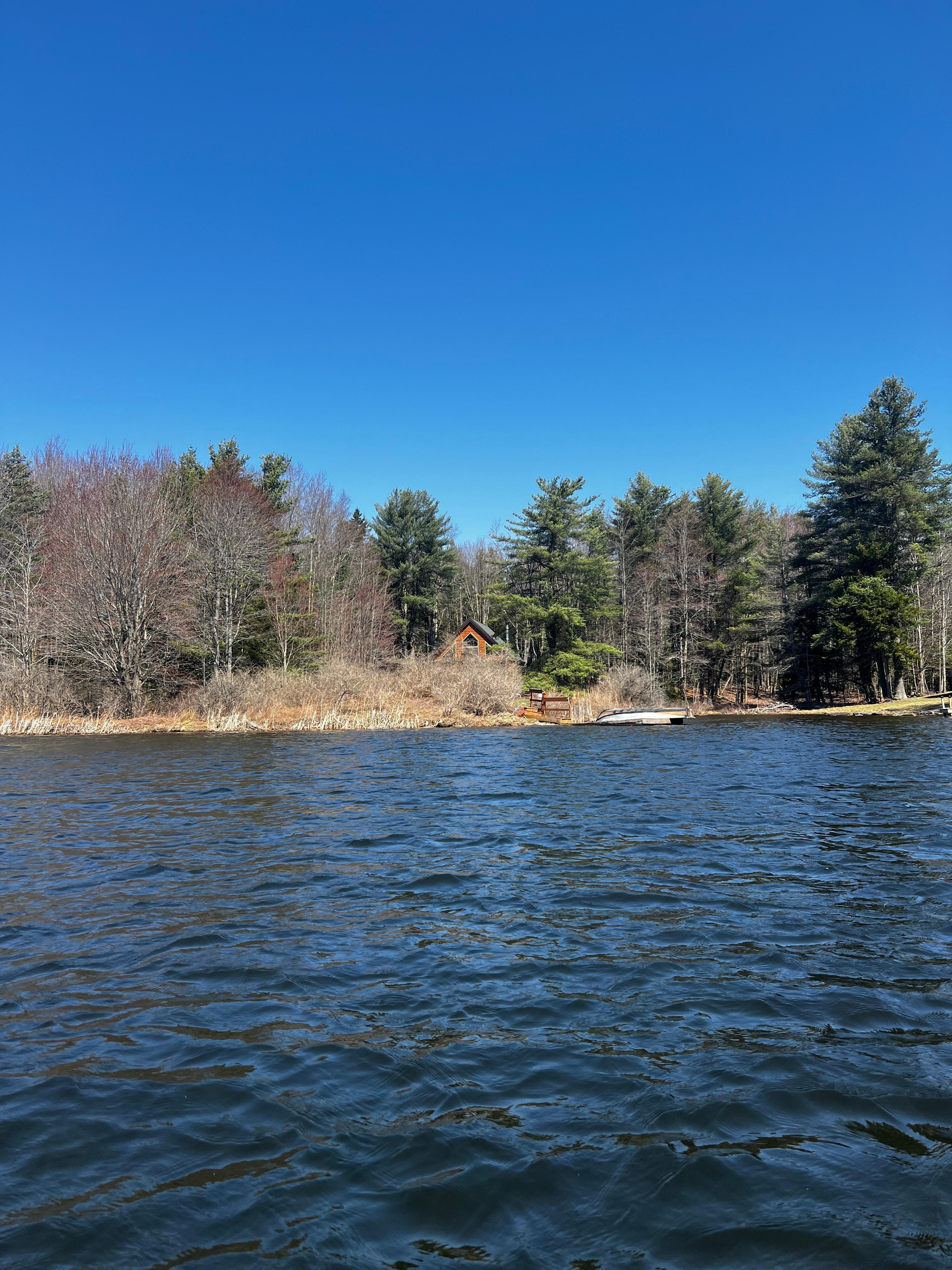 Our view from the paddle boat looking back to the cabin