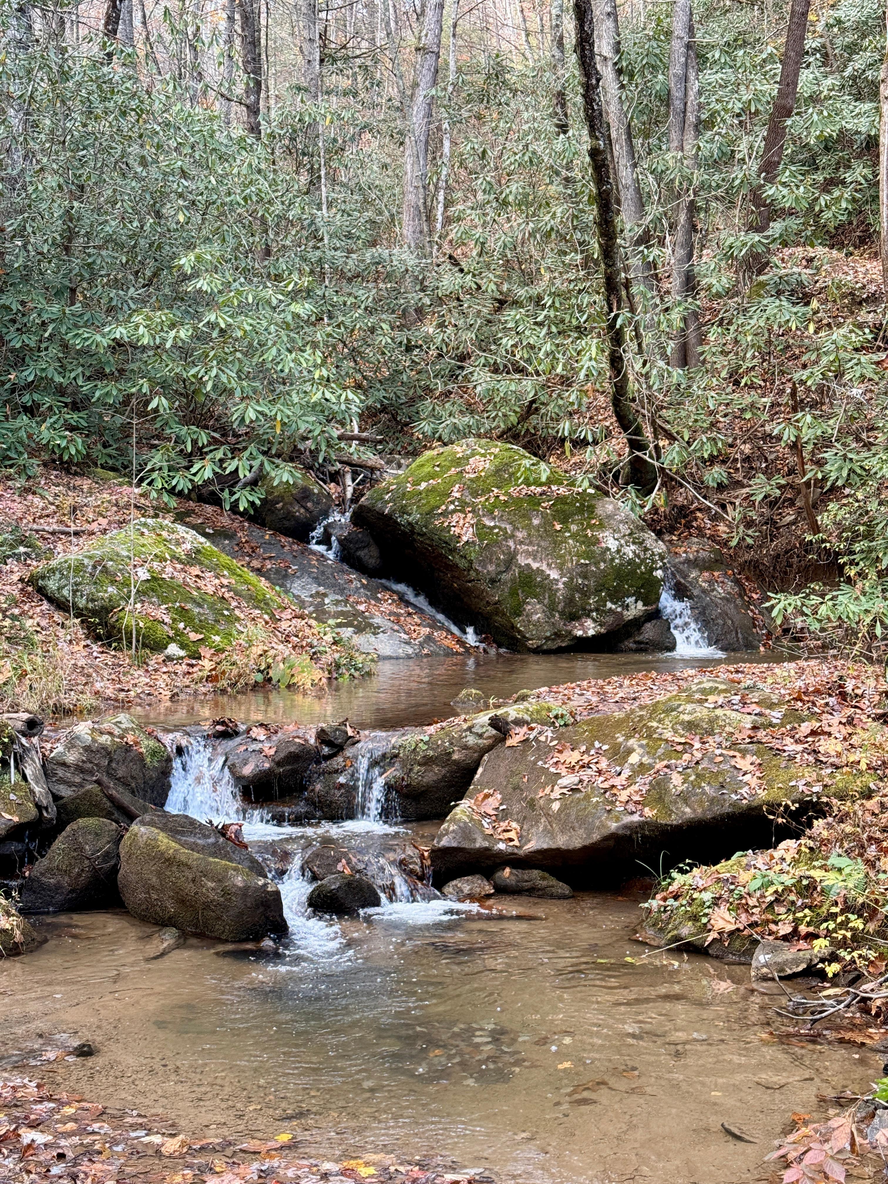 On one of the many trails in the community. 
