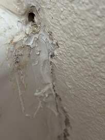 Mold in the bathroom