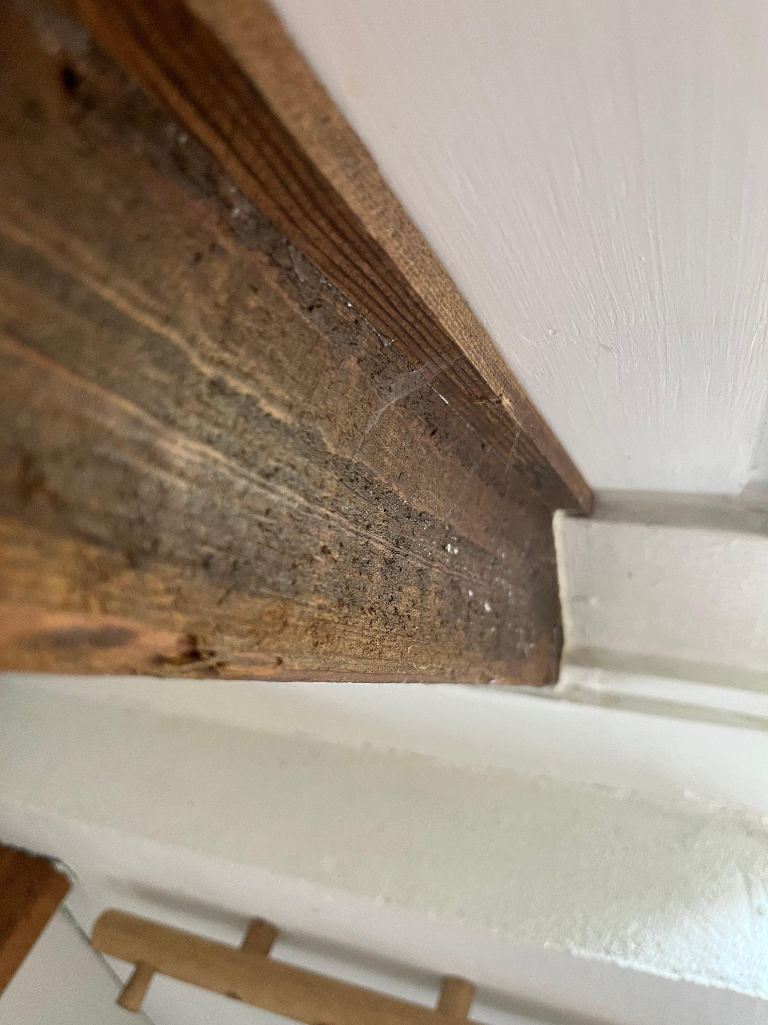 Spinnenweben an den holzbalken