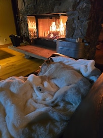 Enjoying the fireplace with our puppy.