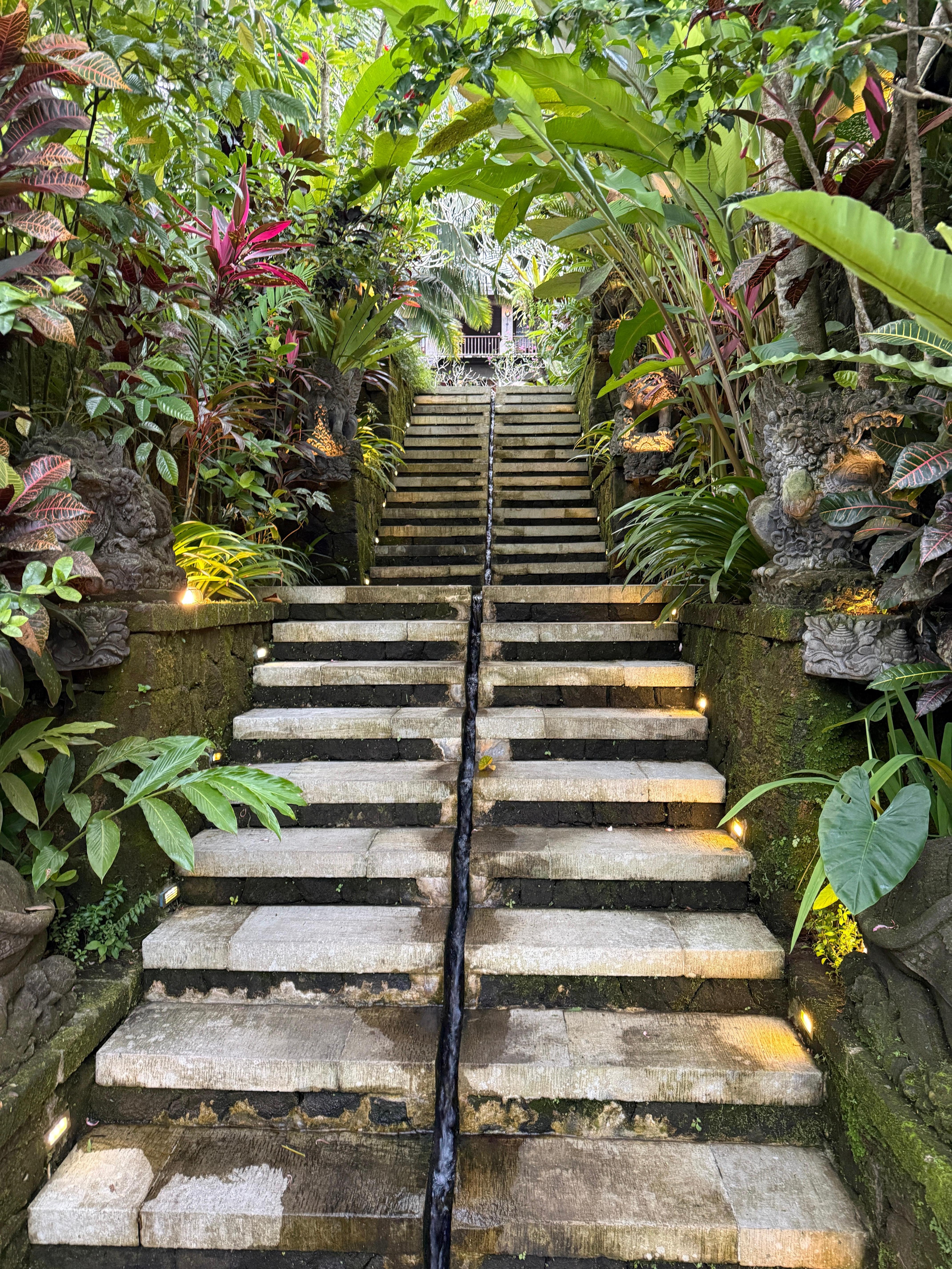 Just be aware the resort has lots of stairs. 