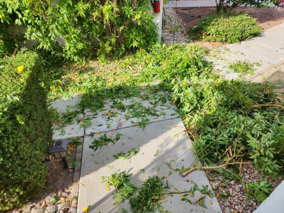 So nice to wake up at 7:30am to a work crew using loud gas powered machines right outside our window making a mess and not cleaning it up for nearly two hours. This is not the place to go and have a relaxing vacation.  