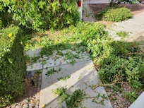 So nice to wake up at 7:30am to a work crew using loud gas powered machines right outside our window making a mess and not cleaning it up for nearly two hours. This is not the place to go and have a relaxing vacation.