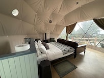 Bed/couch