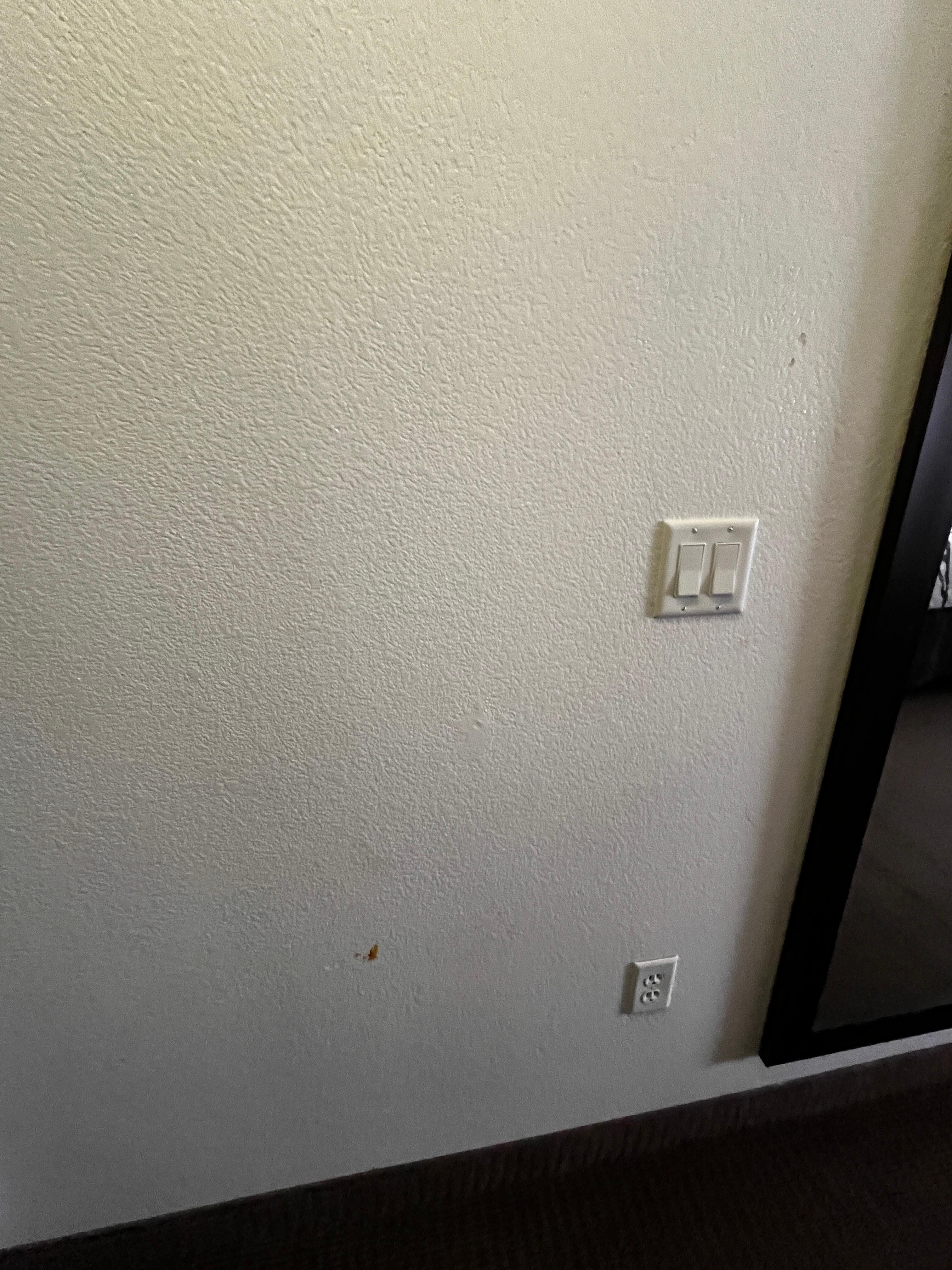 Food on wall