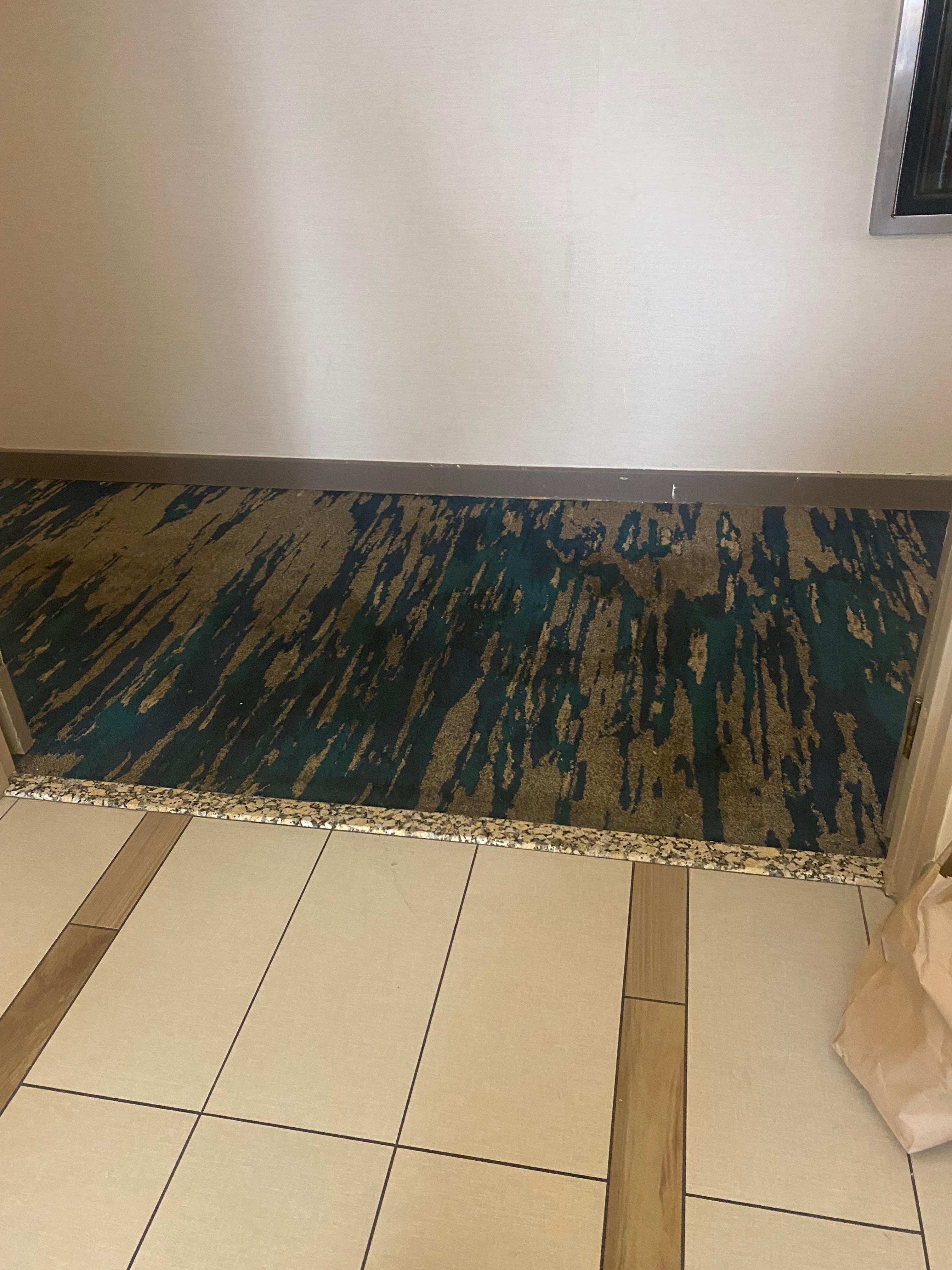 Carpet in main hallway 