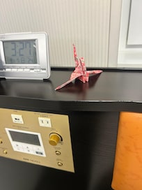 Not a towel animal
But cute origami crane.