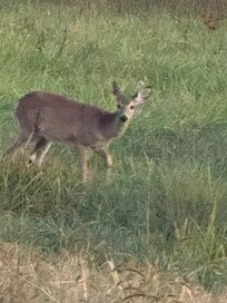 Our welcoming committee