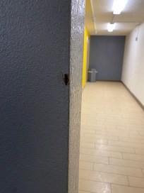 Same roach as before